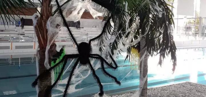 🎃 🏊‍♂️ Halloween dans les piscines du Val Parisis