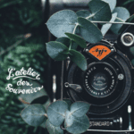 📷 Rappel - Commande de photos individuelles