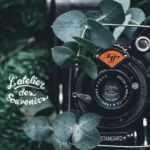 📷 Rappel - Commande de photos individuelles