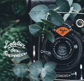 📷 Rappel - Commande de photos individuelles